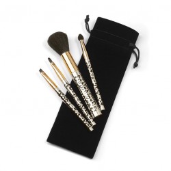 Set de pensule in etui